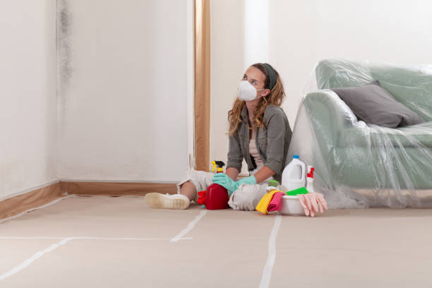 Reliable Mold Remediation contractor in Pine Brook, NJ by 24 Hour Mold Removal
